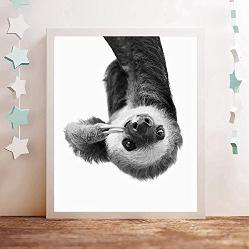Affiche animal paresseux toile pour decoration de chambre de bebe et pepiniere