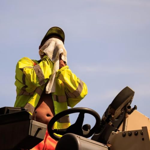 PTO Extra! - James Meadway on the economic costs of heatwaves