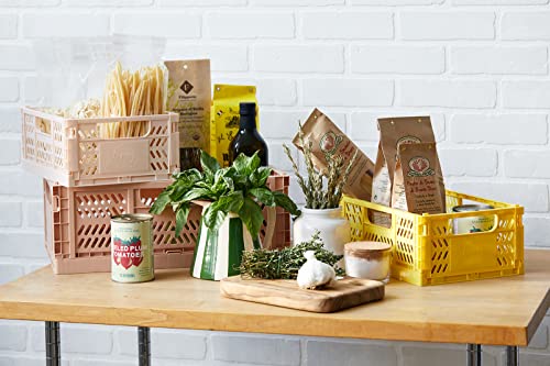 3 Sprouts Recycled Plastic Collapsible Crate - Stackable Foldable Storage Box for Easy Organizing, Durable Folding Crate for Home or Office Use - Large - Clay - Image 5