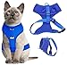 Dexil Luxury Cat Harness Padded and Water Resistant (Blue S-M)