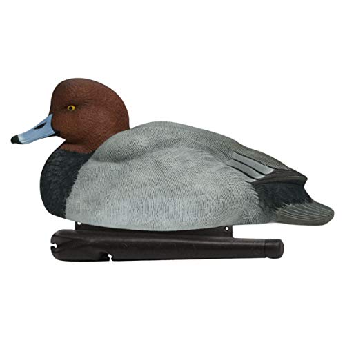 Avian-X Topflight Redheads Durable Ultra Realistic Floating Hunting Duck Decoys, Pack Of 6, Avx8089 #TOP2