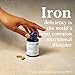 Higher Nature - Botanical Iron with Vitamin C - Natural & Gentle Iron Supplement for Women & Men - Supports Energy, Cognitive Function & Normal Immune Function - True Food® Formula - 30 Capsule