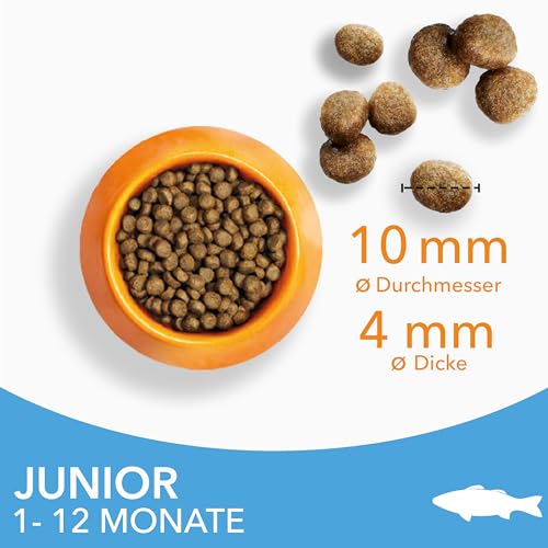 IAMS Junior Katzenfutter trocken mit Fisch - Trockenfutter für Kitten im Alter von 1-12 Monaten, 3 kg