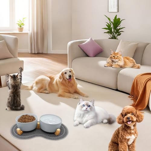 Hundenapf Keramik 850ml Doppel Futternapf Hund mit Bambus Ständer und Rutschfestem Matte, Hundenapf Set Erhöht Hunde Napfset, Erhöhte Futterstation Hund 2er Set für Katzen Kleine Mittelgroße Hunde