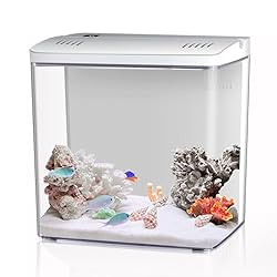 Craftsboys 4.5L Aquarium Starter Kit
