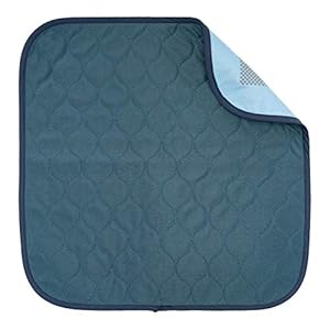 Sensalou Incontinentie stoel pad zitkussen waterdicht wasbaar 45×45 blauw