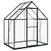 Refined Pflanzenhaus mit Dachrinnensystem Flügeltür Treibhaus für Pflanzen Frühbeet Gewächshaus mit Fundamentrahmen Grün 169x114x195 cm Aluminimum