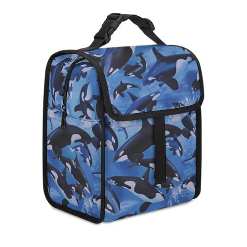 `obO NW U ٓ `g[gobO sNjbNobO ۉobO A~ t@Xi[t ۉ ۗ h [ e 􂦂 y sNjbN Lv ^