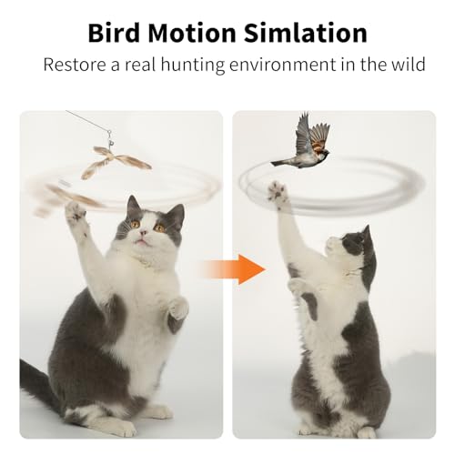 Image of FUKUMARU Cat Wand Toy, 35.5 Inch Cat Feather Propeller Toy with Bell, Steel Wire Cat Toy for Indoor Cats with Natural Feather