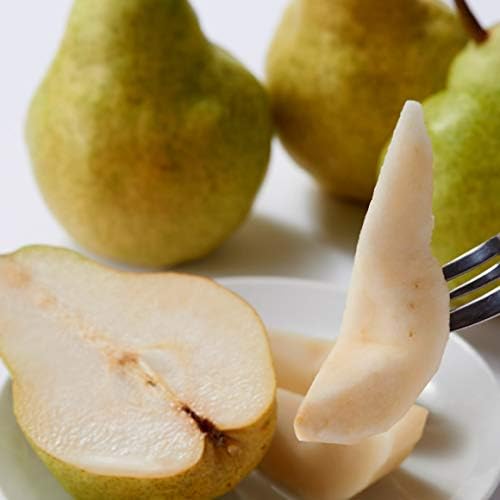 南国フルーツ 洋梨 約2.5kg (8～10玉)