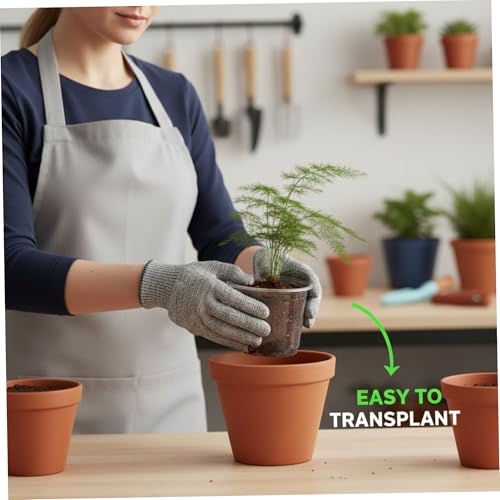 Pots de pépinière transparents plastique pour rempotage