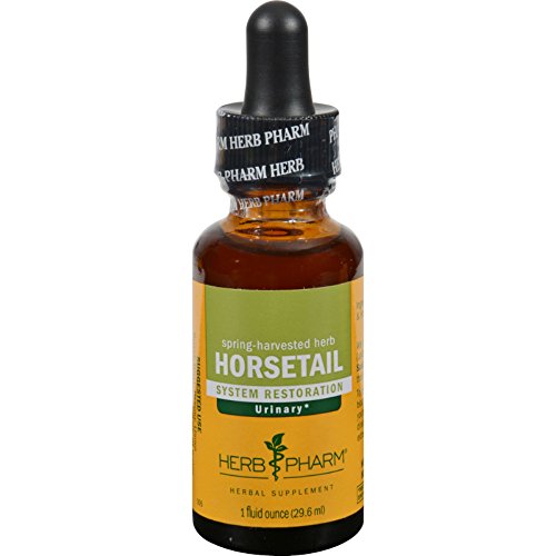Herb Pharm Horsetail Liquid Extract for Urinary System Support - 1 Ounce