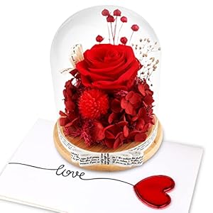 TGELATA Preserved Flowers Gift for Her, Fresh Red Rose Birthday Gifts for Women, Mom, Forever Roses in Glass Dome, Preserved Rose Romantic Love Gifts for Mother’s Day