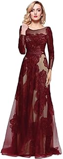 Meier Women's Long Sleeve Illusion Back Embroidery Lace Evening Dress Burgundy Size 6