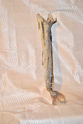 Norwegian Stockfish. Dried Cod Fish. 1 Lb. Already Cut thumb #3