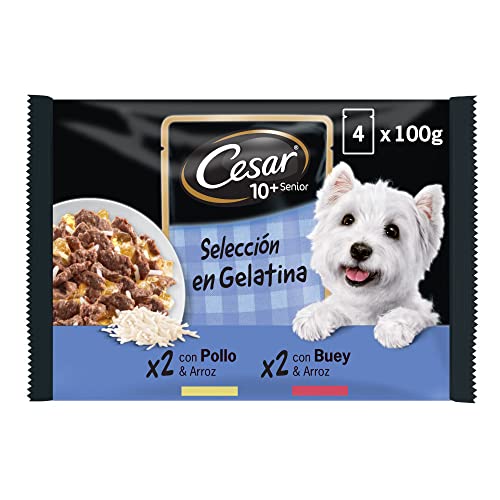 Cesar Senior 10+ Hundefutter Nassfutter für Hunde ab 10 Jahren