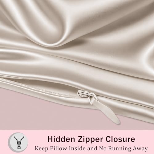 Mulberry Silk Pillow Cases with Zipper, Ultra Smooth Soft Breathable Cooling Pillow Cases for Hot Sleepers, Silk Satin Pillowcase for Hair and Skin, Gifts for Women (Beige, Queen Size, 1 Pack)