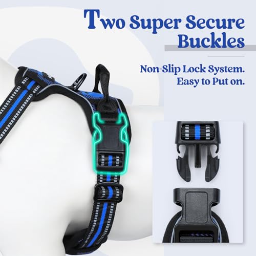 Image of rabbitgoo Dog Harness No Pull with 2 Leash Clips, Adjustable Soft Padded, Reflective Oxford No Choke Pet Vest with Easy Control Handle for Medium Sized Dogs, Blue Plaid, M