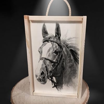 Fábrica de Regalos Mágicos Caja copa balon caballos