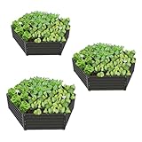 A ANLEOLIFE 3 Set Hexagon Galvanized Raised Garden Beds Outdoor,70x60x18in Metal Planter Box for Planting Vegetables Flowers Herb, Anti-Rust & Easy-Setup, Quartz Grey