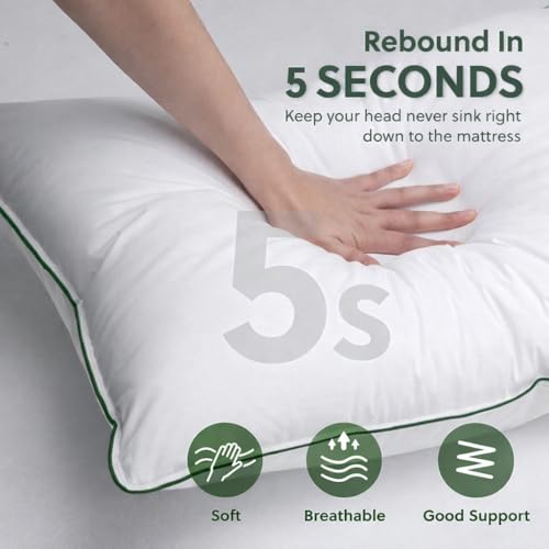 Image of Nestro Premium Set of 2 Sleeping Pillow, Virgin Fiber Filled, 16x24 inch Size, Pure Cotton Fabric