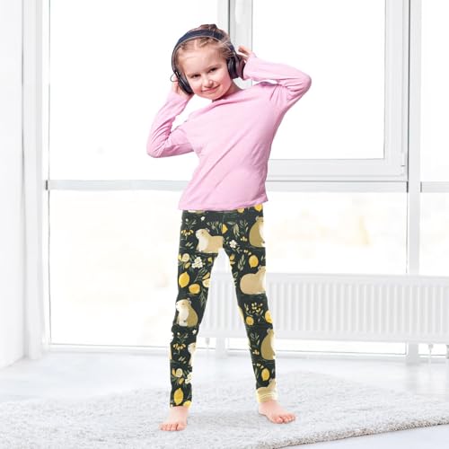 Girls' Leggings Cute Capybaras Lemon Kids Yoga Tights Pants 1 Pack 208617224