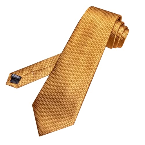 Image of Barry.Wang Plaid Ties Mens Silk Necktie and Tie Clip Checkered Tie for Wedding Party Business Formal