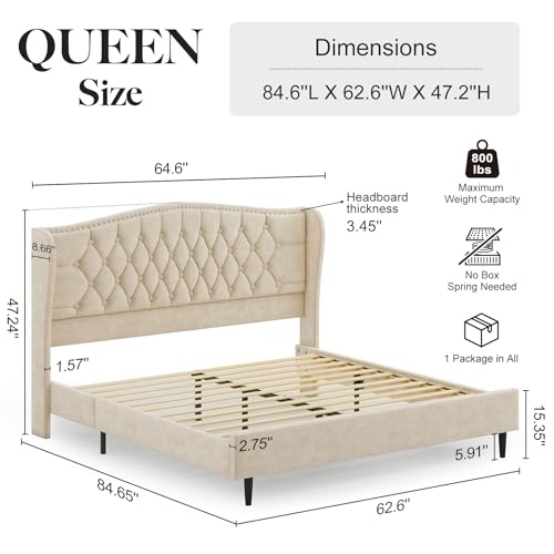 Belffin Queen Bed Frame with Headboard, Luxury Upholstered Velvet Platform Bed with Wingback, Button Tufted & Nailhead Trim, Anti-Slide Tall Footboard, No Box Spring Needed, Noise-Free, Beige