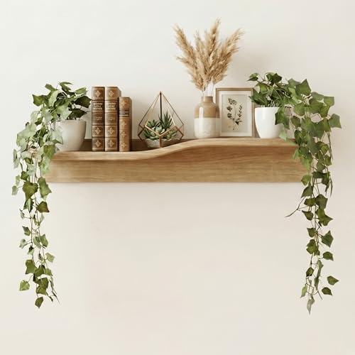 Image of Dekorly Artificial Hanging Garland with Pot - 100cm Rose Vine, 10cm Decorative Pot for Table, Shelf & Wall Decor (2, Star Money Vine)