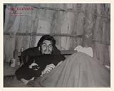 che guevara bildergalerie Technik: Offsetkunstdruck Germanposters Che Guevara Poster Kunstdruck Bild im Holz Rahmen in Ahorn Weiss lasiert 74,6x94,6cm