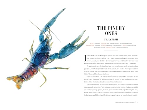 Image of Grizzled: Love Letters to 50 of North America's Least Understood Animals