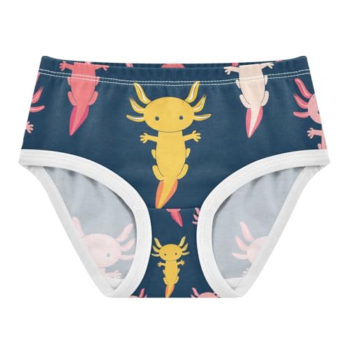 Cute Axolotls Toddler Girls's Underwear 2T 202c1265