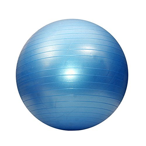 Aditya overseas� Inflatable Gym/Excercise Ball + Free Pump-image-46