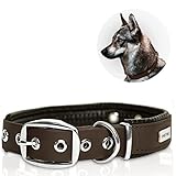 PetTec Halsband für große & kleine Hunde aus Trioflex™ | wetterfest & verstellbar in Farbe | Hundehalsband in Rot, Braun, Schwarz & Leuchtend Orange