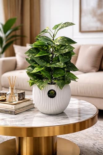 Best Artificial Hanging Plants for Your Home 11 GREENORA Artificial Pothos Plant in White Ribbed Pot, Indoor Home...