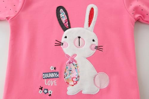 Image of AIWUHE Toddler Cotton Sweatshirt Boys Girls Pullover Long Sleeve Tops 2-6Y