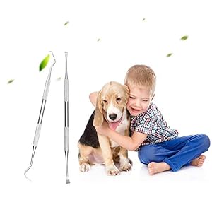 Dog Tooth Scaler and Scraper - 2 Pack Upgrade Pet Tarter Remover with Different Angles Double Head, Stainless Steel Teeth Cleaning Tools for Dogs Dog Tooth Scaler and Scraper – 2 Pack Upgrade Pet Tarter Remover with Different Angles Double Head, Stainless Steel Teeth Cleaning Tools for Dogs