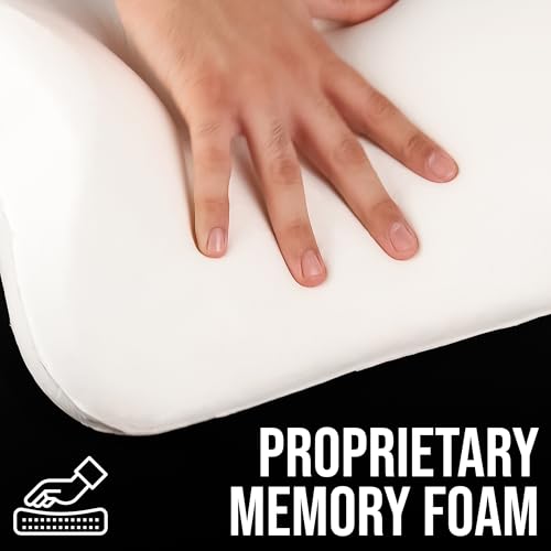 Image of CAR101 Orthopedic Memory Foam Backrest Elite - 47x36x13 cm | with Removable Breathable Mesh Cover | Adjustable Dual Strap Lumbar Support Cushion | Ergonomic Pain Relief