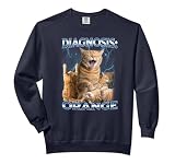 Diagnosis Orange Tabby Cat Energy Funny Comfort Colors Adult Sweatshirt