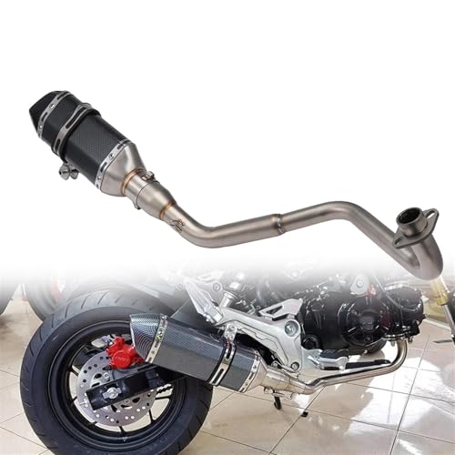 Pot d'échappement bas MSX 125 pour sorties urbaines et balades