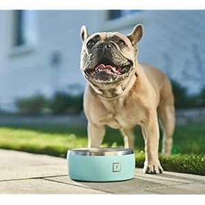 IRON °FLASK Dog Bowl - 32 Oz Stainless Steel, Non-Slip Rubber Bottom, Durable, Pet Food and Water, Cats Feed, Dark Rainbow IRON FLASK Dog Bowl 32 Oz Stainless Steel Non Slip Rubber Bottom Durable Pet Food and Water Cats Feed Dark Rainbow