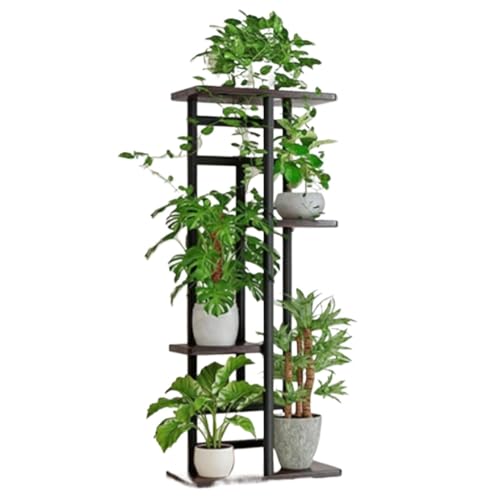 Sefoemutt[X^h 5 iKiAI kX^CI S؍ސw|bgX^h |[bN oRj[rOp (4i5,ubNI[N)