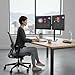 Mount-It! Dual Monitor Stand for Desk - Double Monitor Mount for 2 Screens up to 32 Inch and 17 Lbs - Free-Standing Base Swivel, Tilt, Rotates 360 Adjustable Arms - VESA Compatible High Grade Steel
