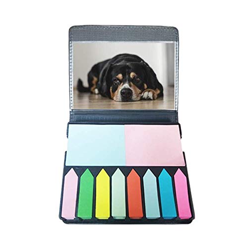 Photo de sol autocollante pour animal domestique chien chat étanche