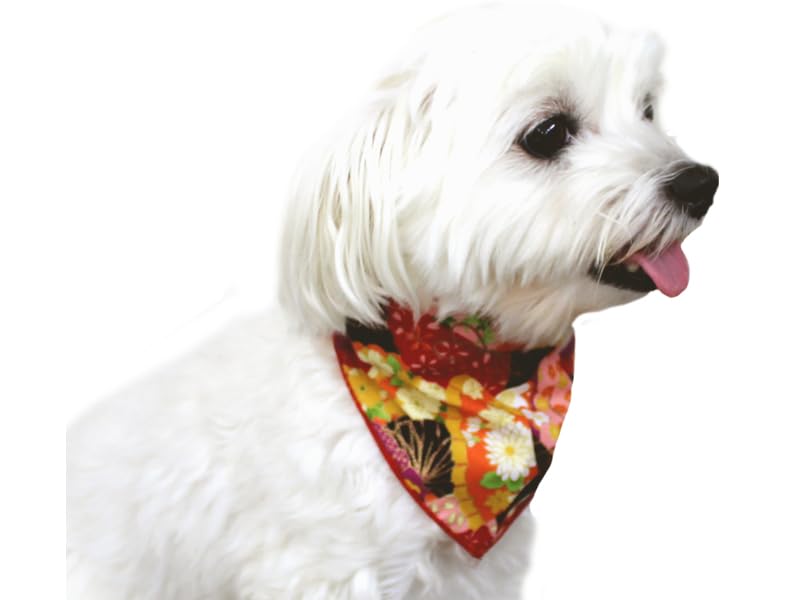 Amazon | ［CHAMMY］【お正月 和風 バンダナ 12枚セット】トリミング