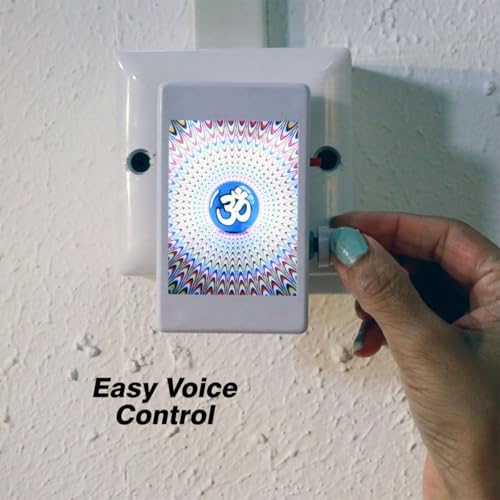 Image of 32 in 1 Electric Religious Chanting Box /Music Mantra Box /Gayatri Mantra /Ganesh Stuti Mantra / - Pack of 1