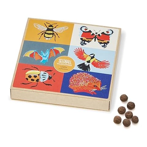 SEEDBALL Wild Flower Seed Bombs Collection Cover