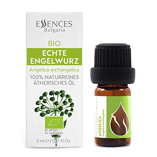 Huile essentielle d'angélique bio de qualité thérapeutique pour diffusion