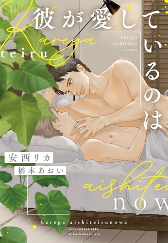 彼が愛しているのは (ディアプラス文庫)