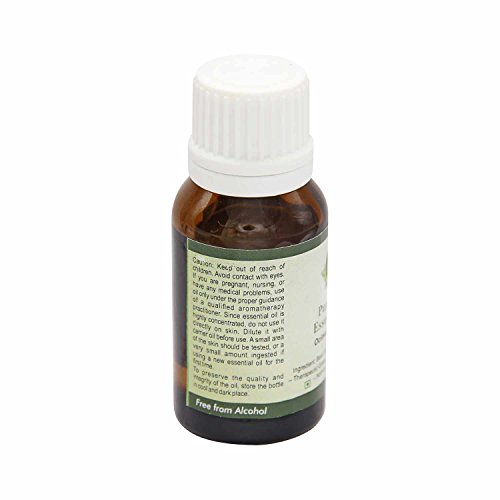 R V Essential Pure Basil Essential Oil 10ml (0.338oz)- Ocimum Basilicum (100% Pure and Natural Steam Distilled) - Image 2